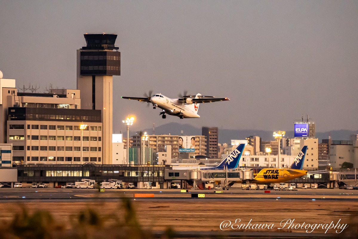 渇き('57インド) Aircraft: @ANA #JA743A Spot:大阪国際空港 撮影日:2026年1月7日 最後