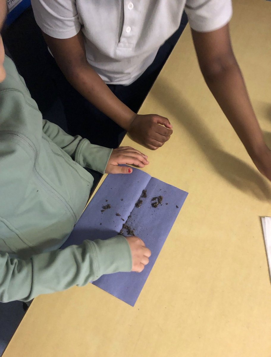 Rolls Crescent tweet media