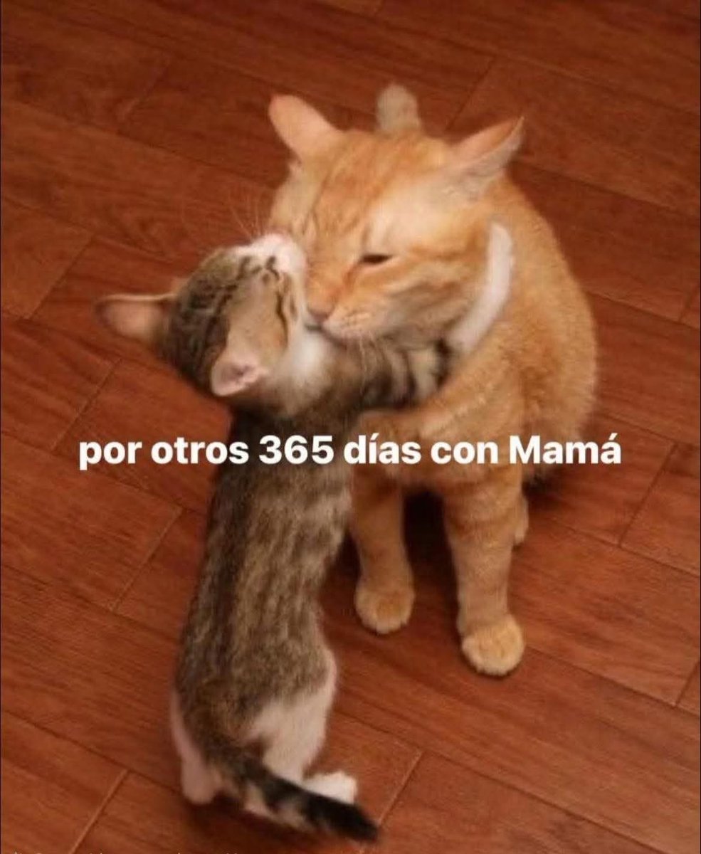 barbie_context's tweet image. 