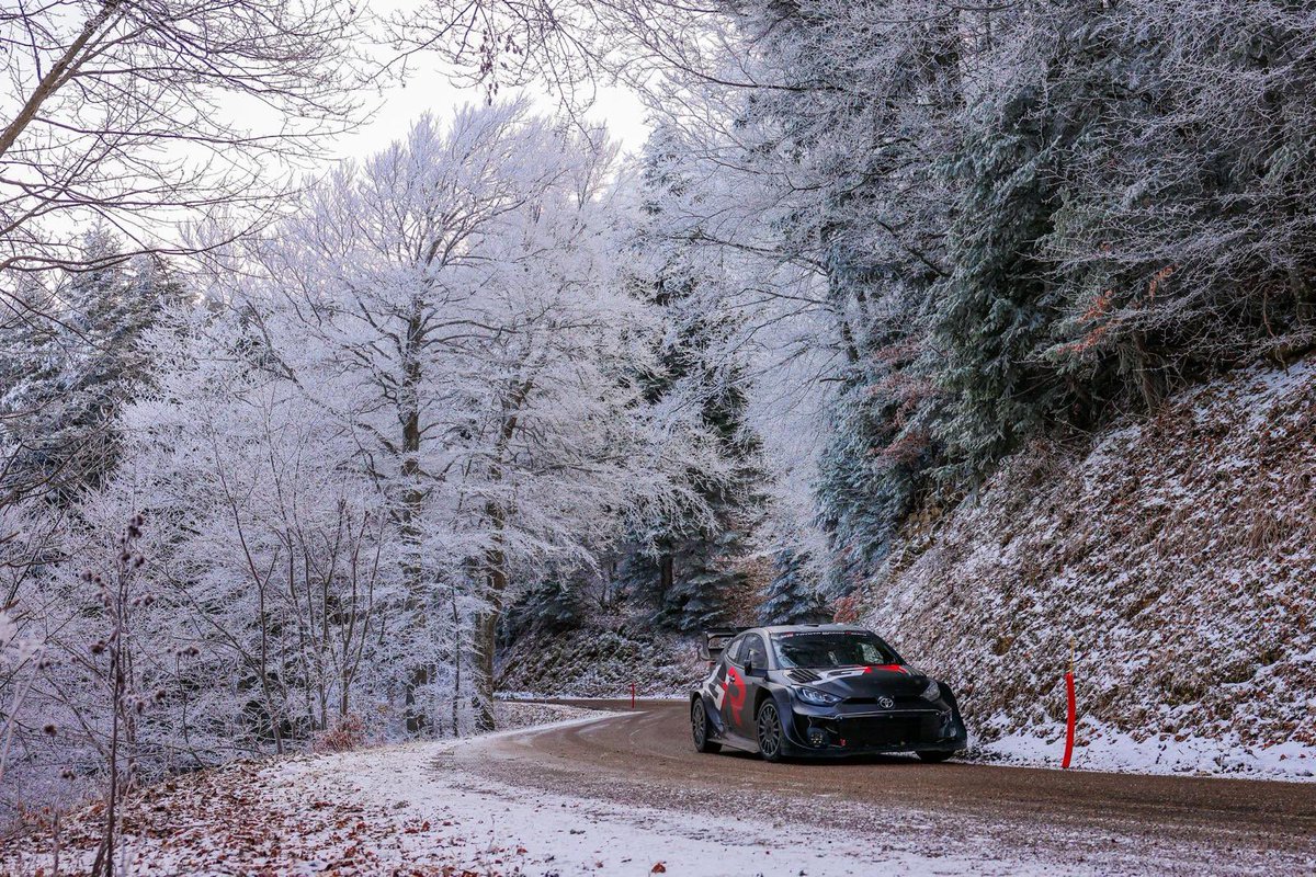 Oliver Solberg 🍩 tweet media