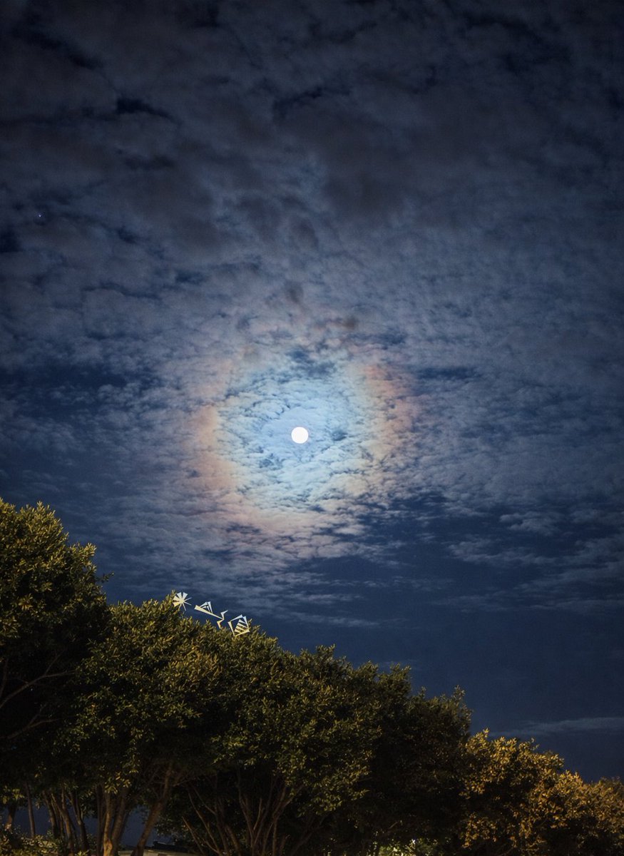 selineith's tweet image. 🎉🌝