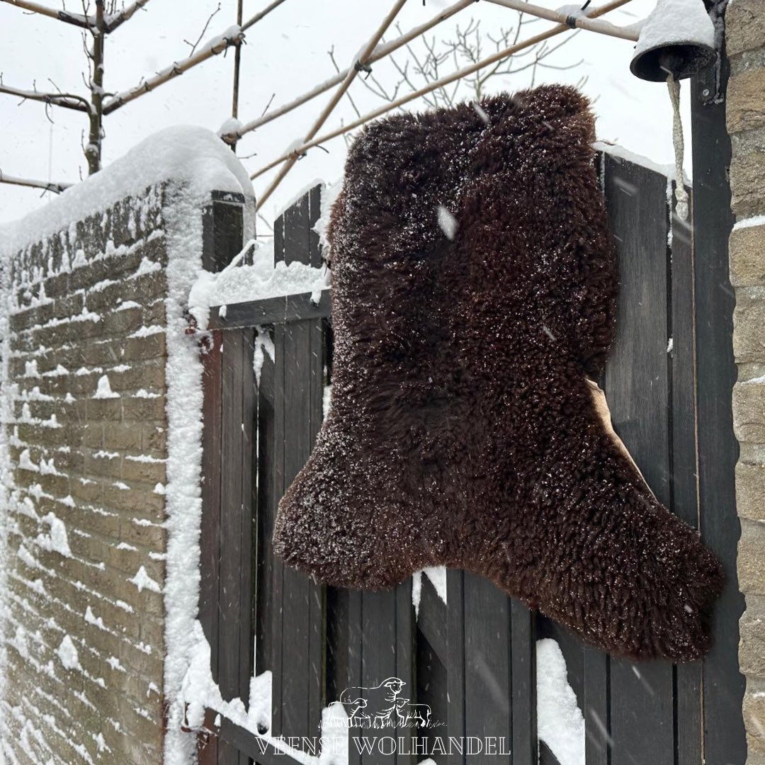 Veensewolhandel tweet media