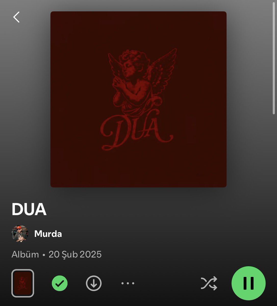 En iyi 2025 albümü budur amk