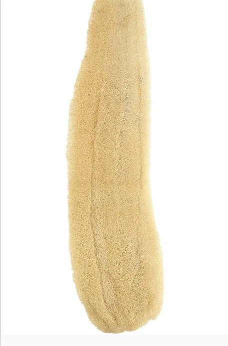 <a href="/alamosh11/">محمد العموش</a> <a href="/alasiif1/">🔸️احمد بن صالح🔸️</a> <a href="/ALsaamat1/">الصامت</a> <a href="/Mb_1781/">مبارك سرار الغباري</a> <a href="/hazaa123shgaa/">أبو ثامر🇸🇦</a> انصحك اذا تبي ليف🤣🤣🤣👍🌹
عملت حساب الرقبه في الاختيار🤷‍♂️