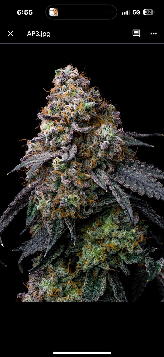 Archive Seed Bank tweet media