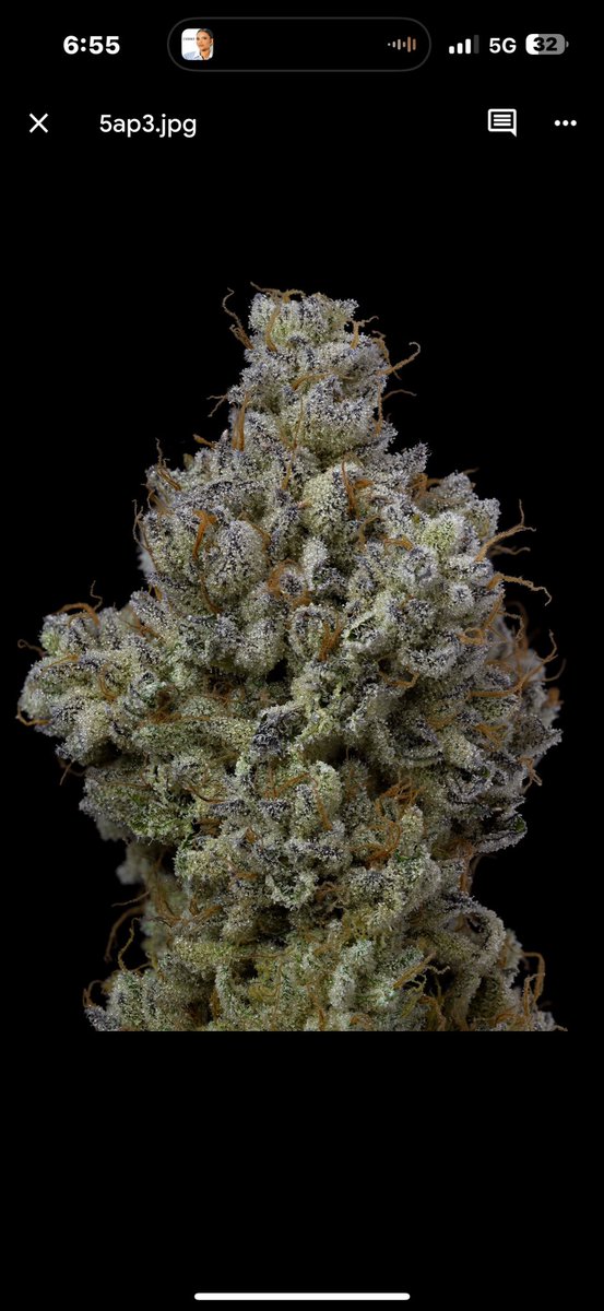 Archive Seed Bank tweet media