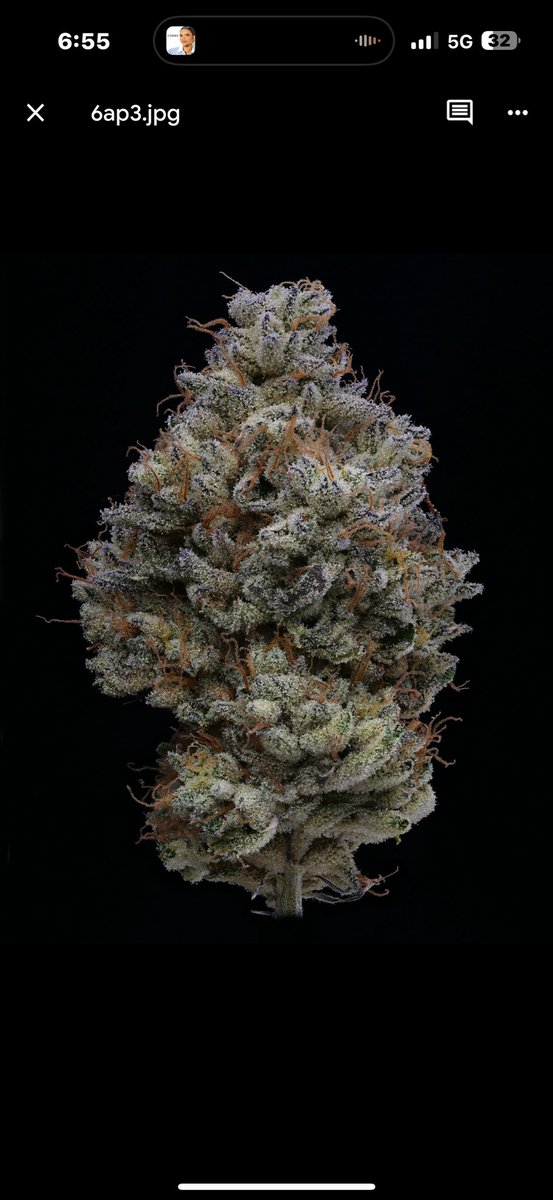 Archive Seed Bank tweet media