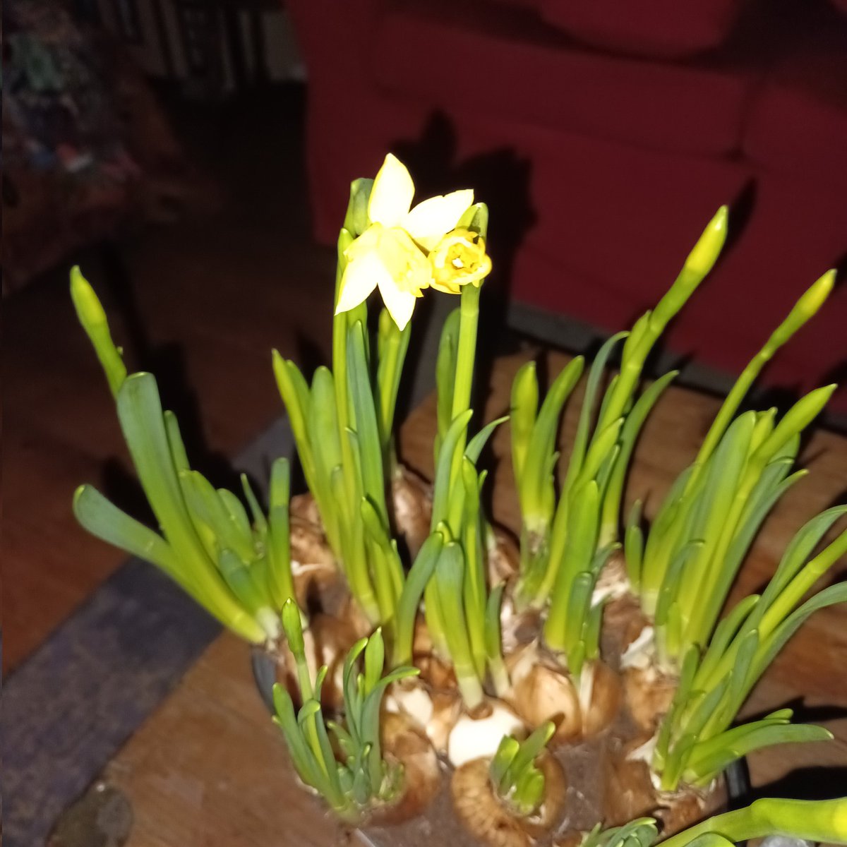 De eersten waren vanmorgen uit&amp;genietende komende weken🥰🥰