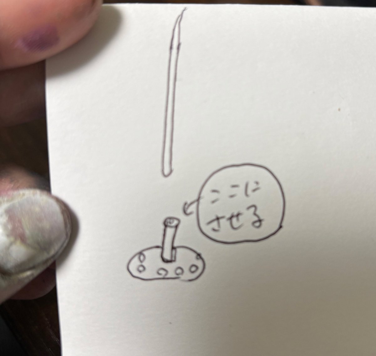 Spear Lab / すぴあ らぼ tweet media