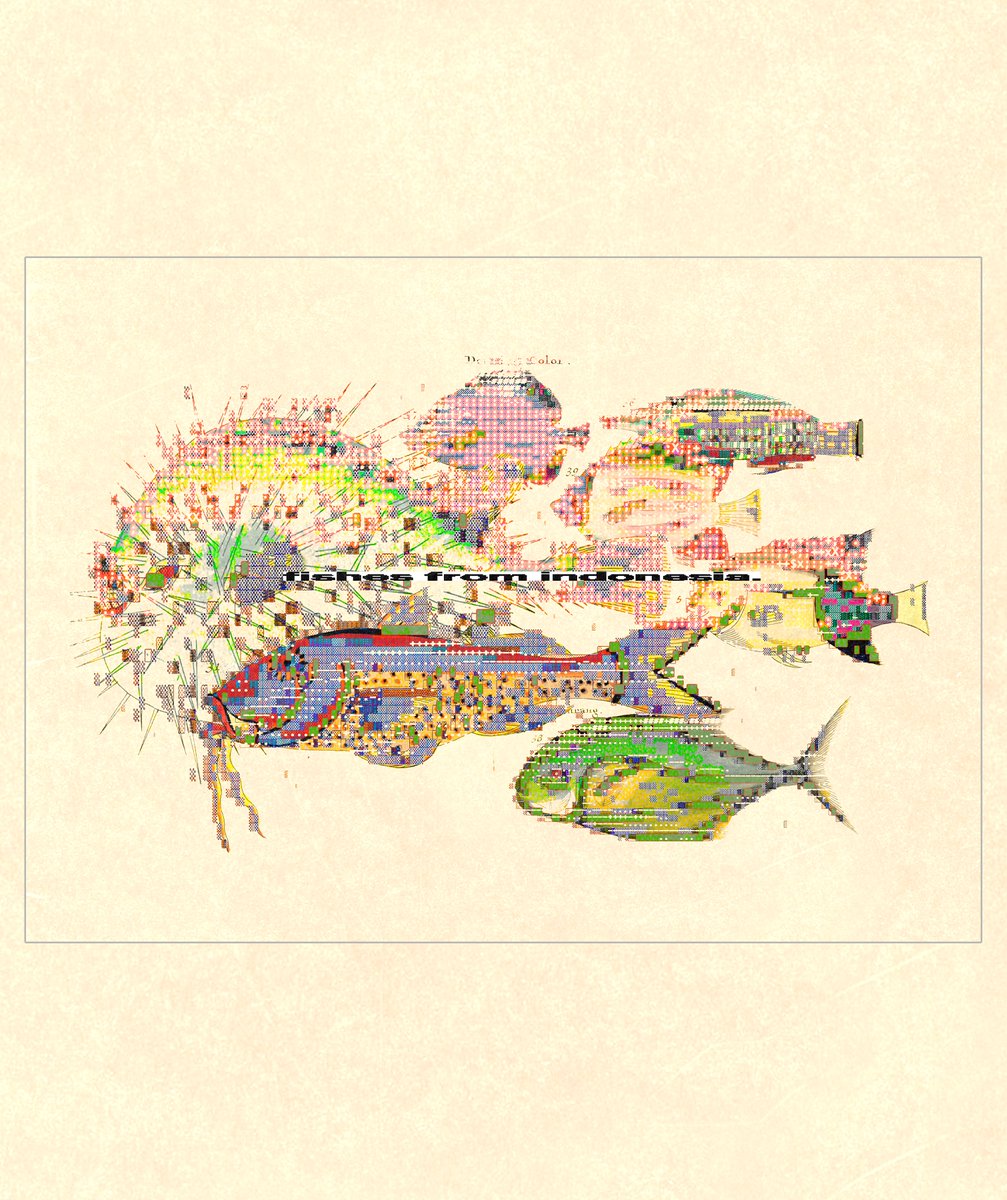enigmatriz's tweet image. process for "fishes from indonesia."