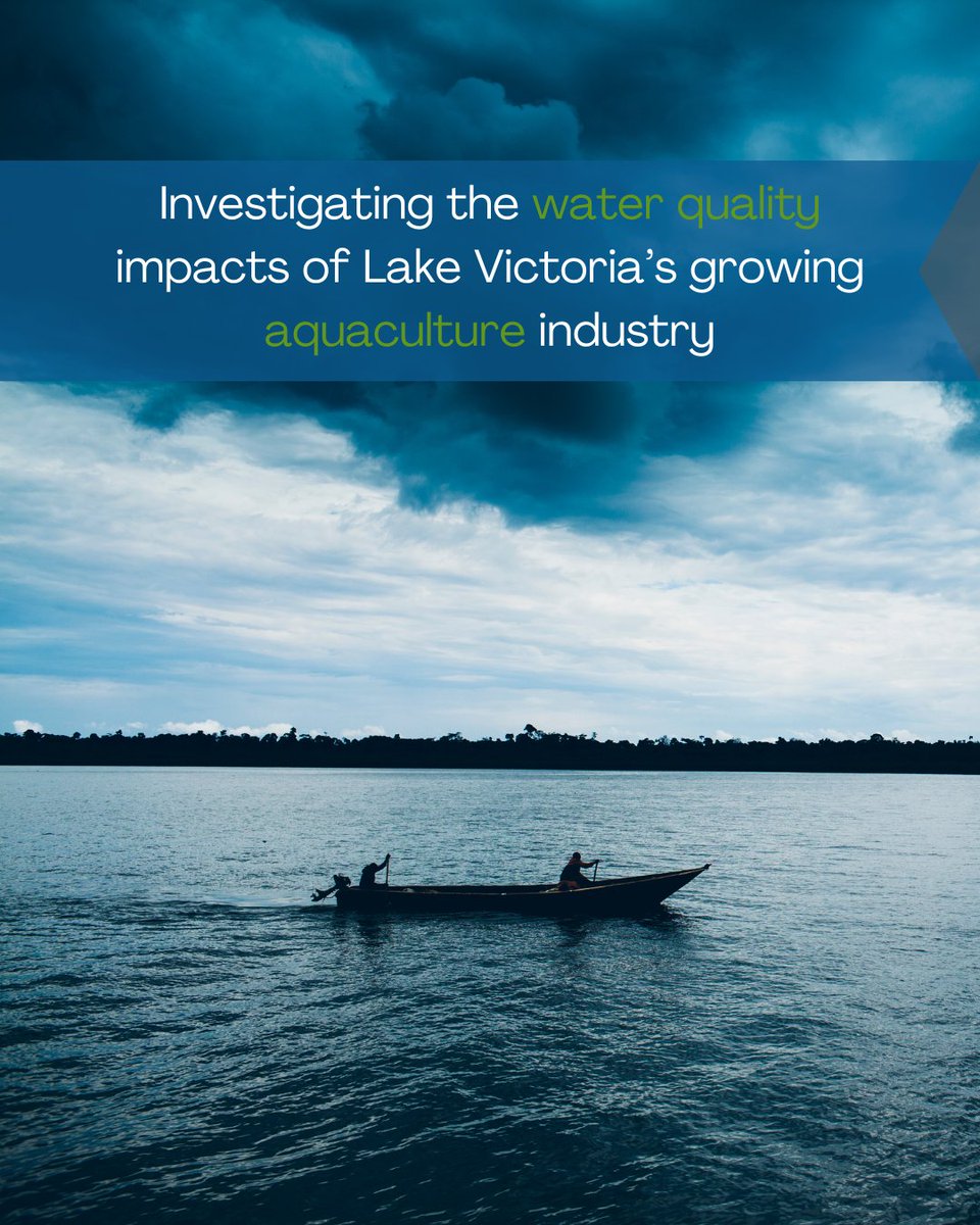 A new study examines aquaculture's impact on water quality across spatial and ecological gradients in Africa's Lake Victoria.

Learn more about the impacts of this growing industry➡️ lakescientist.com/research-brief…

Photo Credit: Adapted from USAID via Flickr.
