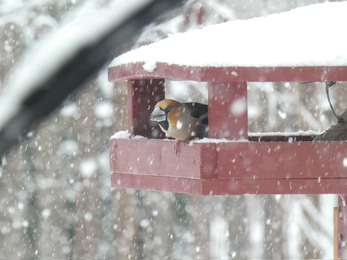 Kaspars Funts tweet media