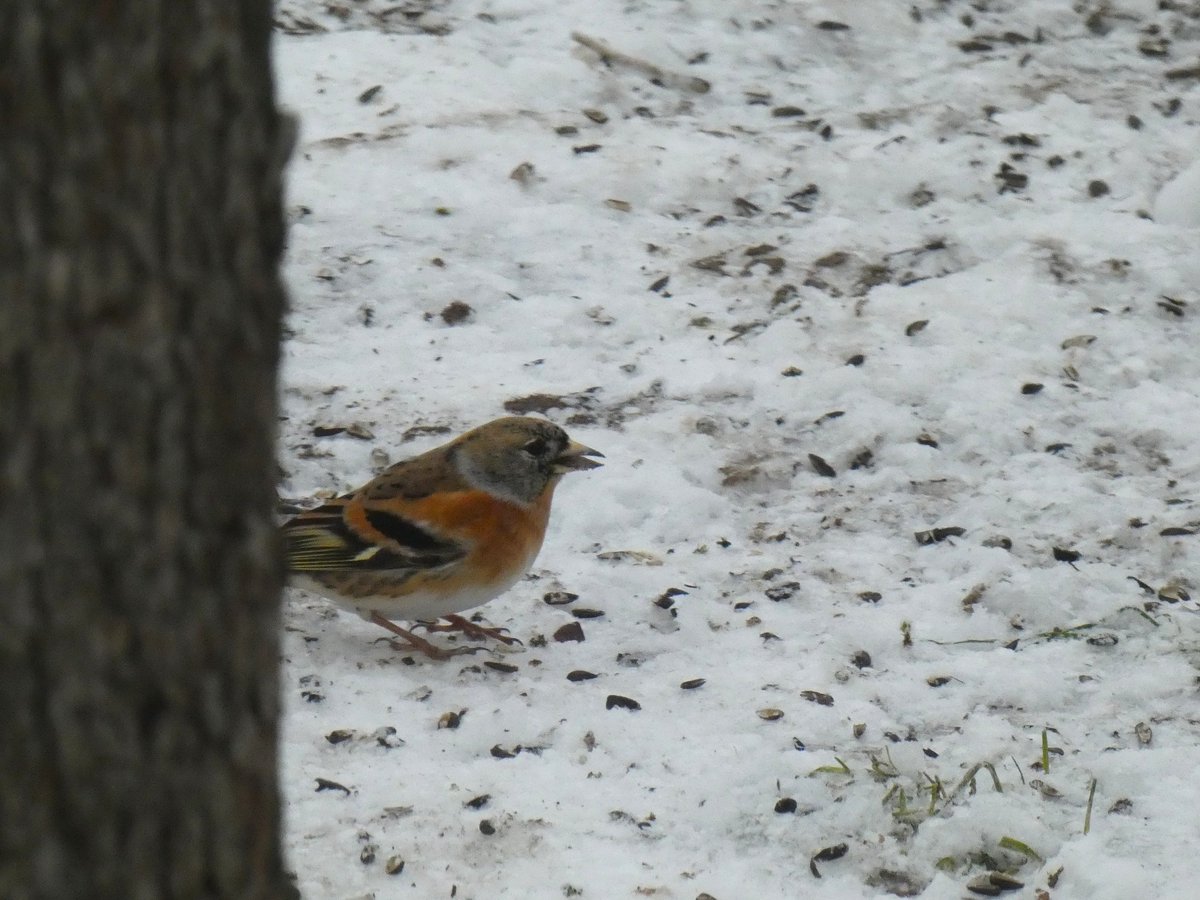 Kaspars Funts tweet media