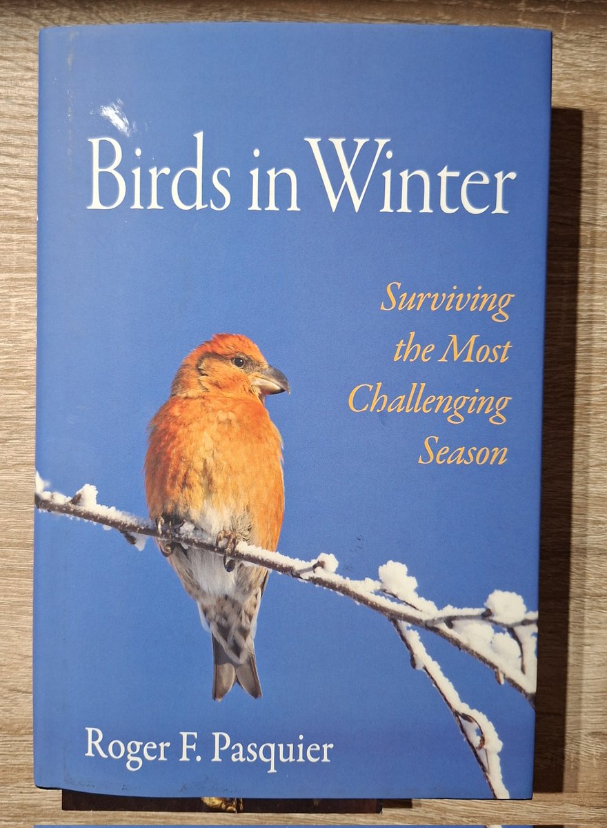 Svarīgi, lai aukstā laikā barība putnu barotavās ir ne tikai no rīta un pa dienu, kad mazputniņi atgūstas pēc garās aukstās nakts, bet arī pēcpusdienā, jo mazputni visaktīvāk mēdz baroties tieši pirms satumšanas, lai efektīvāk uzkrātu enerģiju nākamās aukstās nakts pārciešanai.