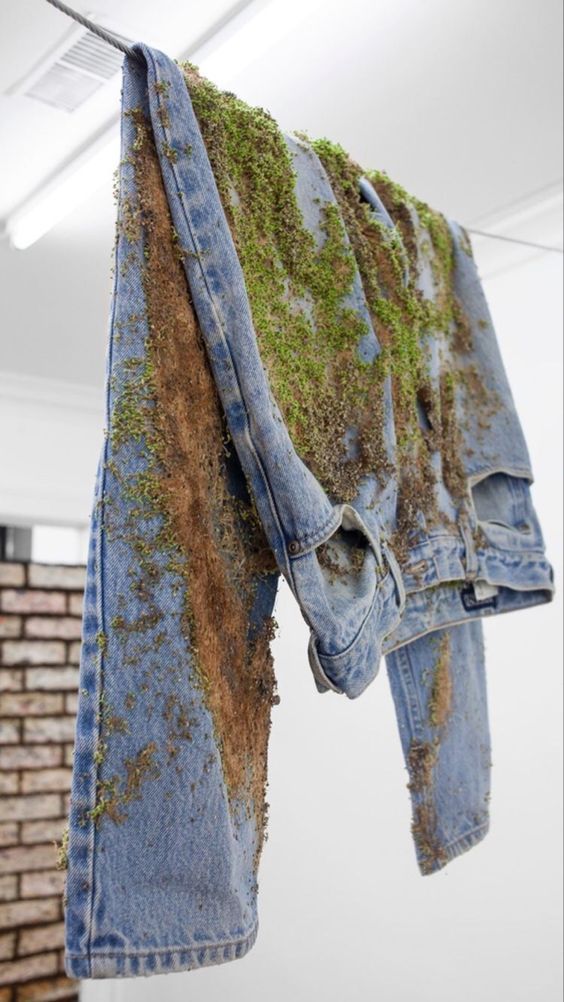 rare_jpg's tweet image. 