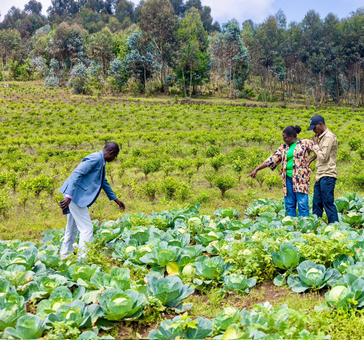 Berulo Foundation tweet media