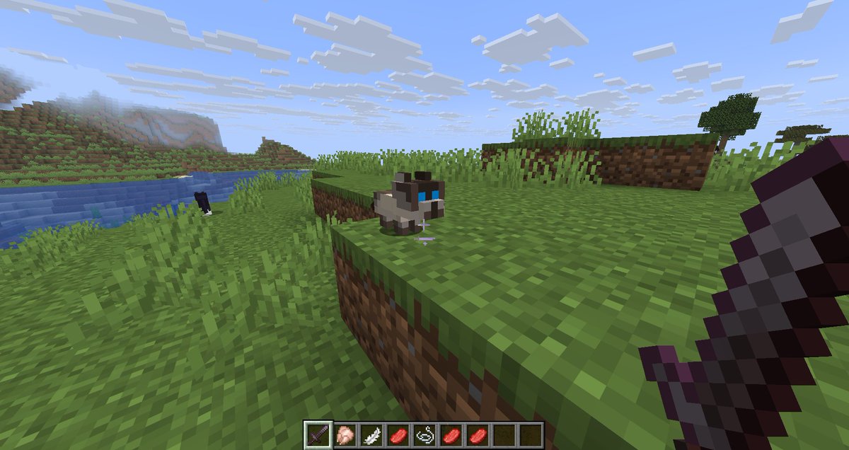 KillerCreeper55 tweet media