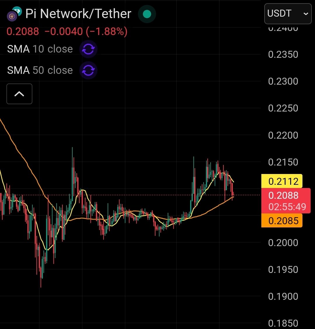 How high do you think Pi could go this January?? 🤔 #pi #pinetwork #picoin  #파이 #파이코인