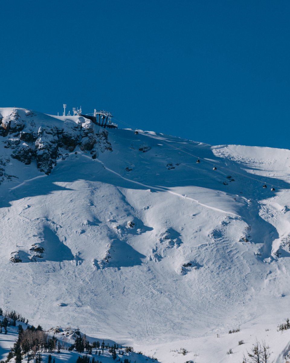 FREESKIER magazine tweet media