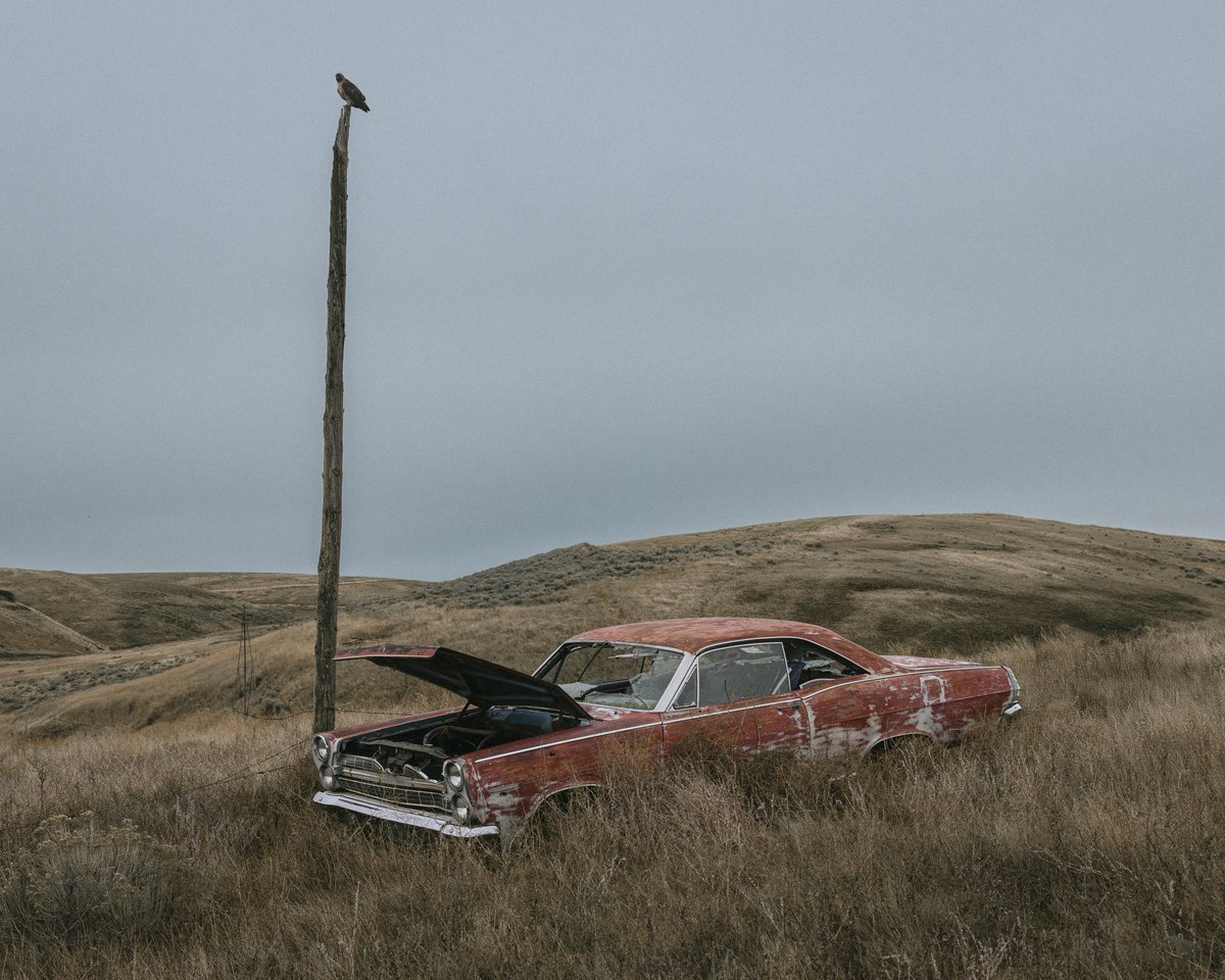 Brendon Burton tweet media