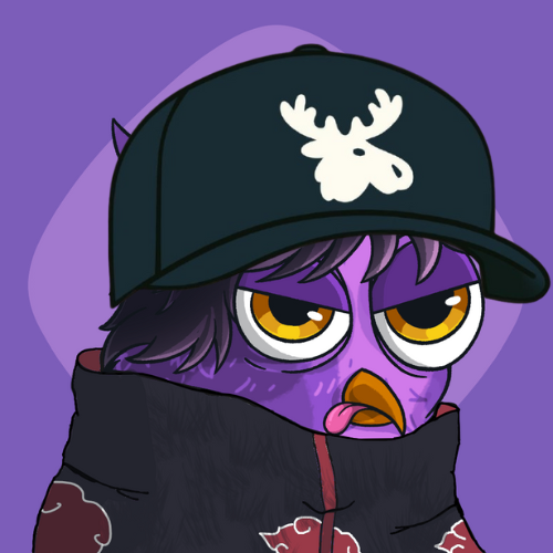 vyshcod14245's tweet photo. My birmd just joined the camp haven and it's loving everything so far ,the trust ,the hype and everything 
@DataHaven_xyz https://t.co/v9TyTYFBbZ