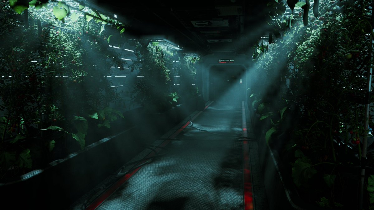 ser daewid 📸🎮 tweet media