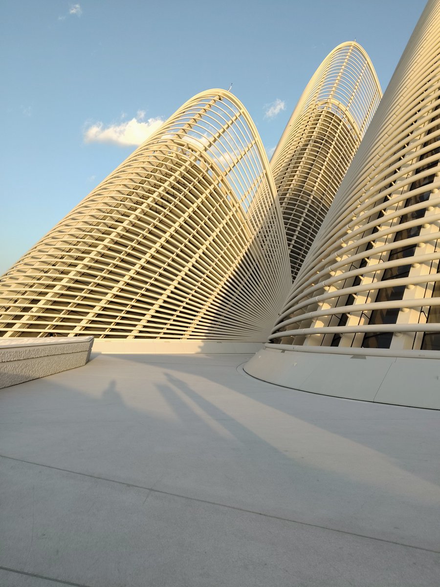 Hassan Sadeed Ali tweet media