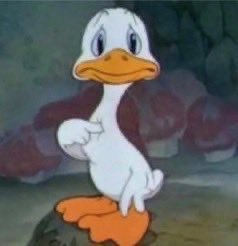 S (@saraat777) on Twitter photo 