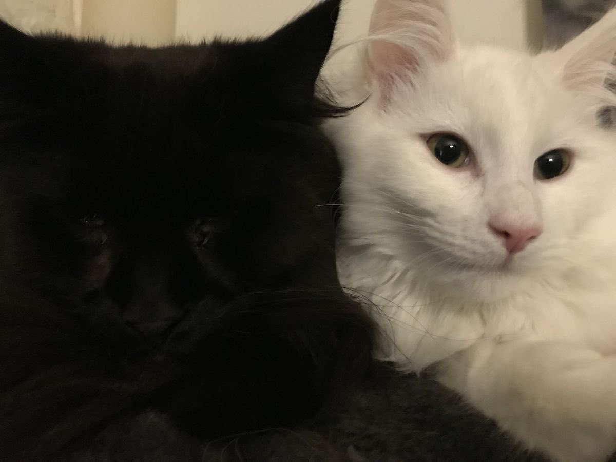 Lily ✮⋆˙ tweet media