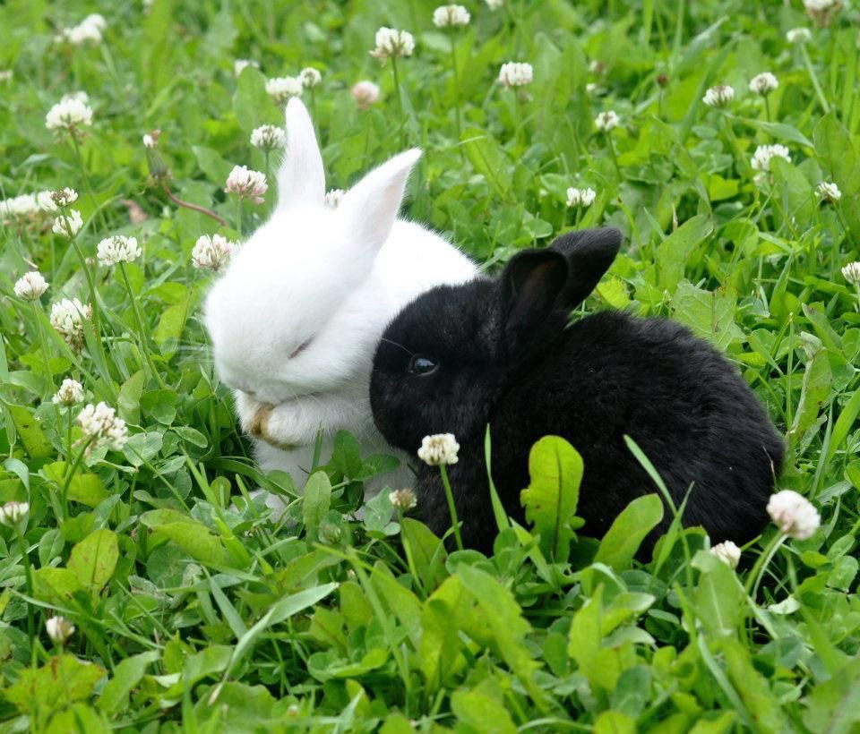 Lily ✮⋆˙ tweet media