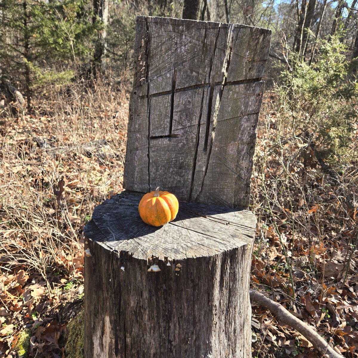 Pumpkins aren’t trail décor. 🎃
At Sequoyah State Park, leaving food along trails attracts wildlife to busy areas, spreads disease and disrupts the ecosystem.

Leave No Trace means pack it in, pack it out — even the “natural” stuff. 🌲
