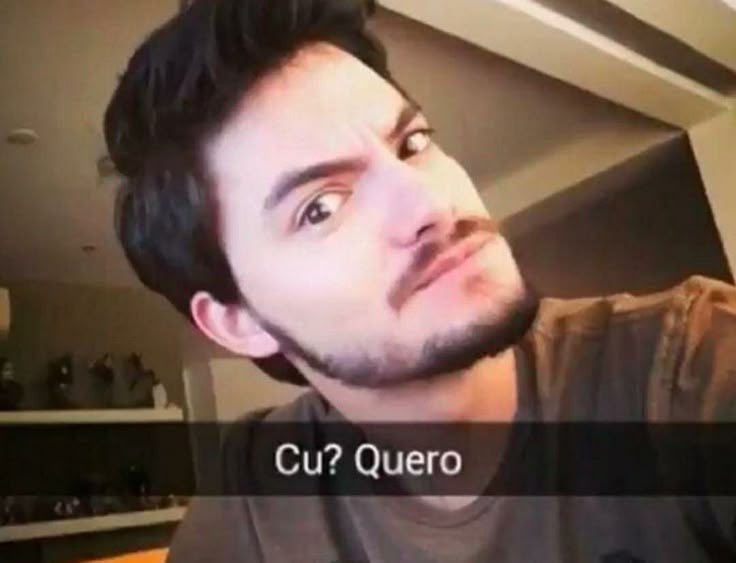 gatodemicrofone's tweet image. 