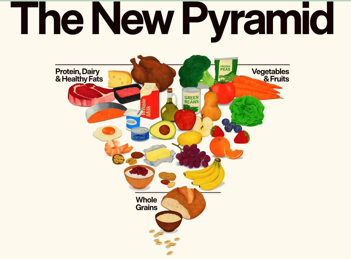 Christopher F. Rufo ⚔️ tweet media