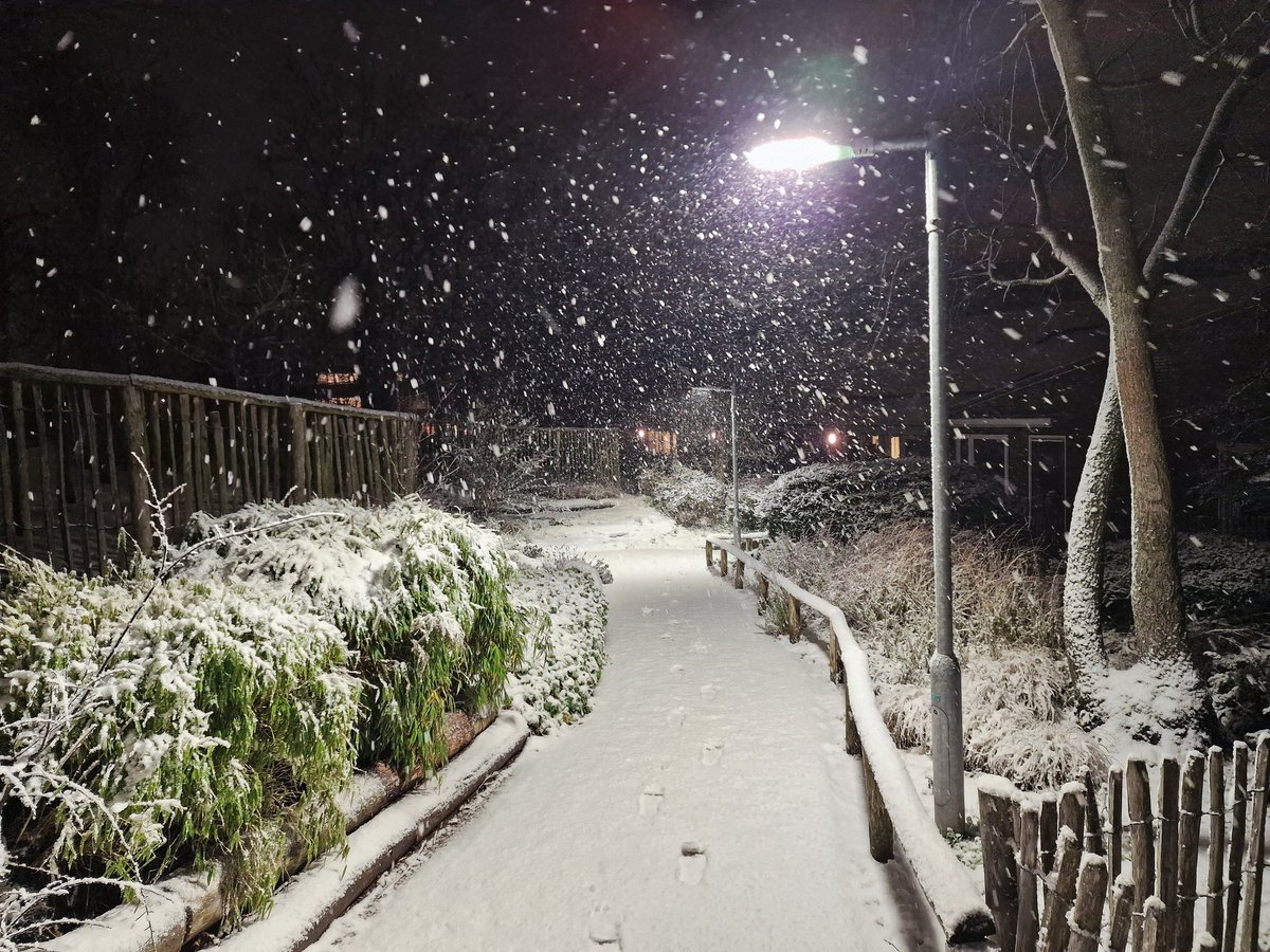 Nicol Taal tweet media