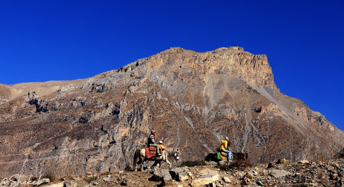 Shakeb Nabi tweet media