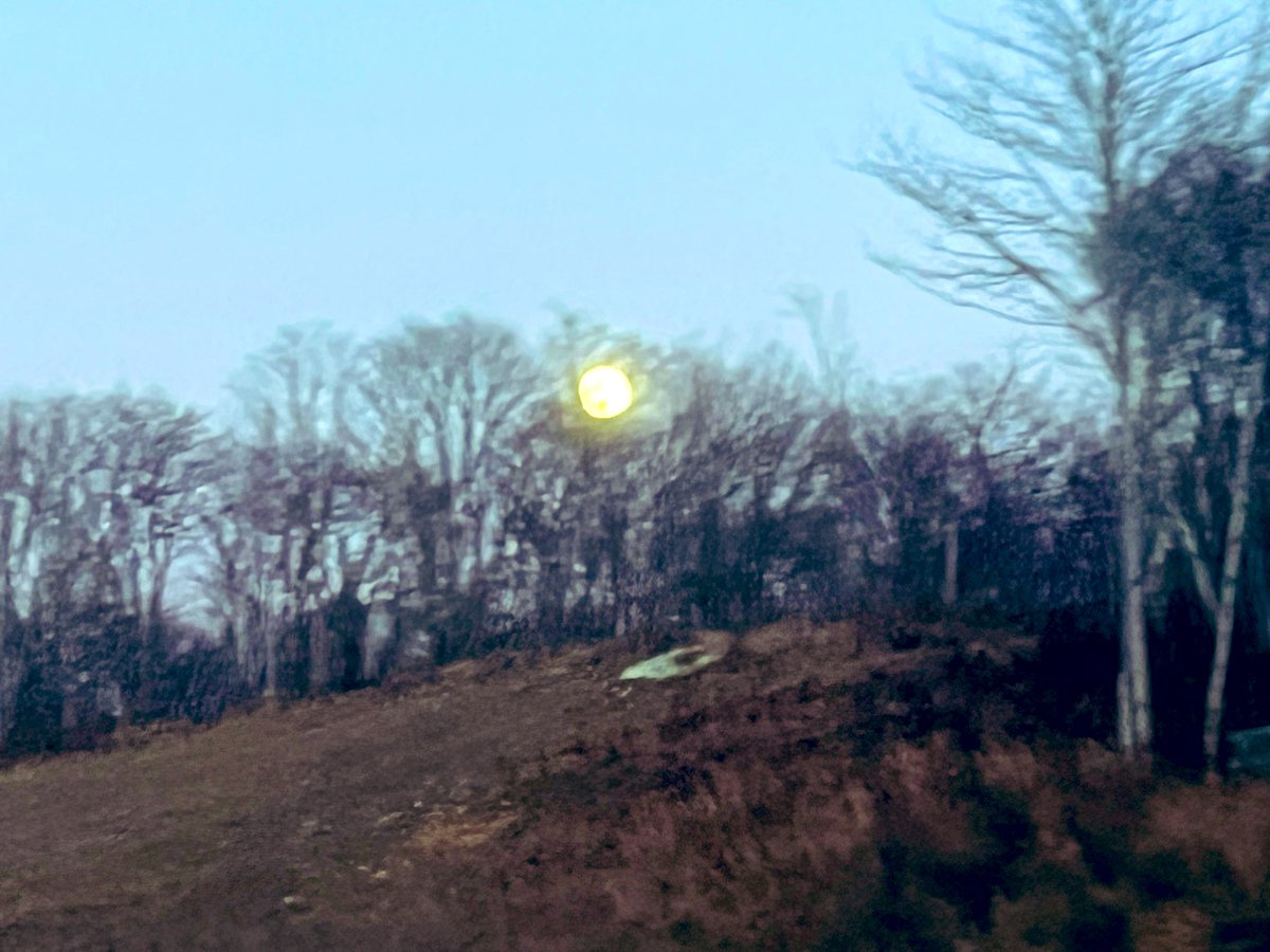 FancyCaroline's tweet image. My iphone camera is super effed rn, but here are some pics of the recent Supermoon. #supermoon2025 #supermoon #wolfmoon