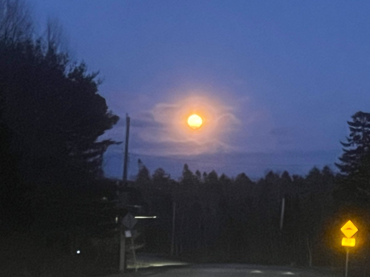 FancyCaroline's tweet image. My iphone camera is super effed rn, but here are some pics of the recent Supermoon. #supermoon2025 #supermoon #wolfmoon