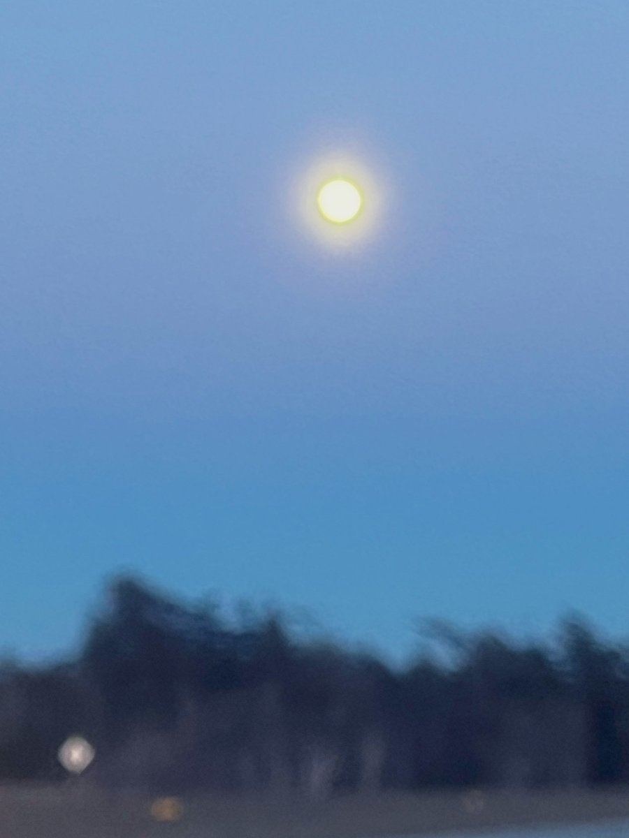 FancyCaroline's tweet image. My iphone camera is super effed rn, but here are some pics of the recent Supermoon. #supermoon2025 #supermoon #wolfmoon
