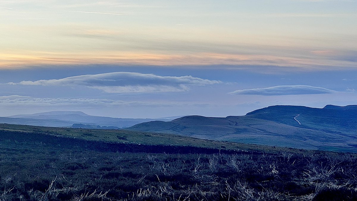 The #OffGrid Gardener tweet media