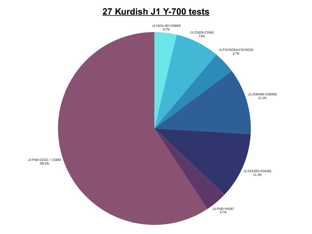 codeandclan's tweet image. Big update since last year for Kurds who have fully sequenced their paternal lineage under Y-DNA haplogroup J1. The sample size has now increased from 17 to 27 tests.

J1-Y631 &amp;gt; BY119669
Under J-Y256359. Has 1 scientific Kurdish sample from Turkey (with no further details). It…