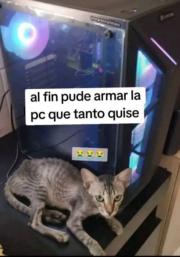 Vader91870633's tweet image. 