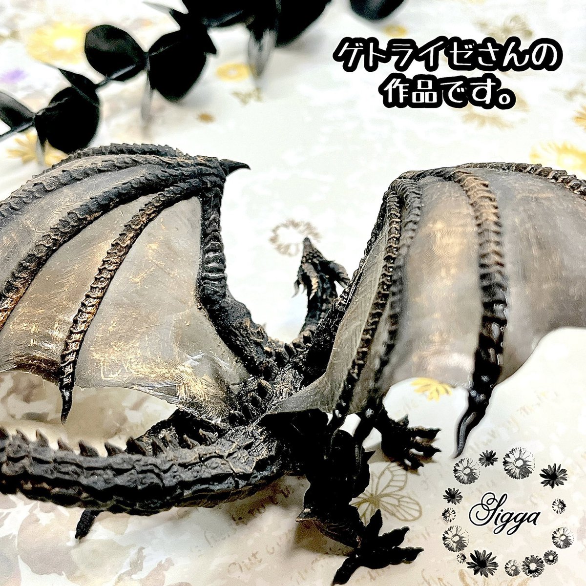 はち✨ うちにもブラックの美人がいるのよ🥰 名前はジッガちゃん🖤