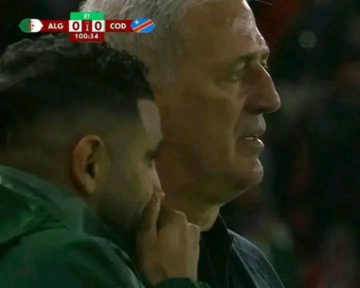 NȺĐȺ ĐƵ 🇩🇿 tweet media