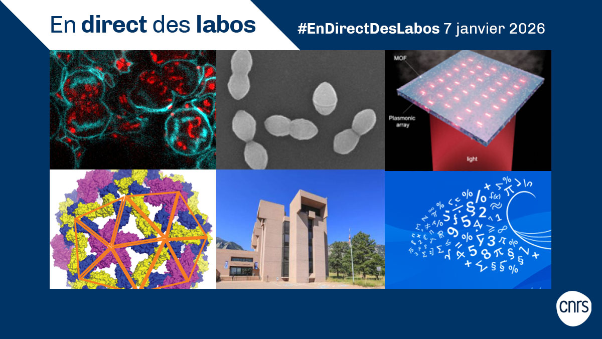 CNRS 🌍 tweet media