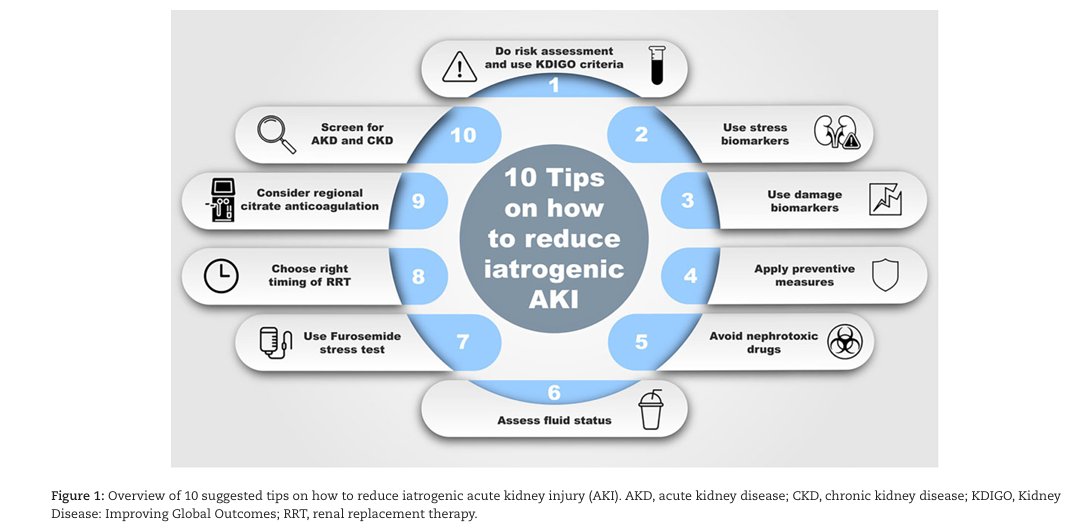 CKJsocial's tweet photo. Ten tips on how to reduce iatrogenic acute kidney injury

https://t.co/PMSZjICWu3 https://t.co/m9Rij2oyMh