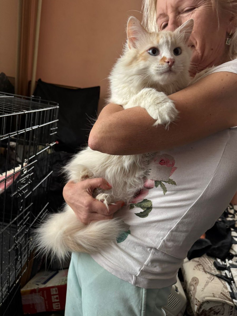 dobroxvost's tweet image. Друзья, новые фото с передержки от Пончика! Он всё ещё идёт дом, откликов пока не было. Будем благодарны за ретвиты 💜