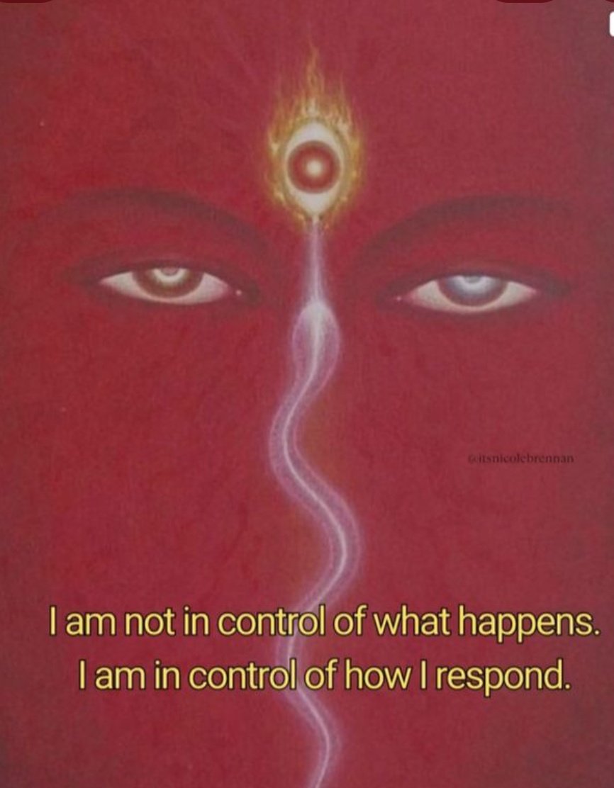 hexesandspell's tweet image. 