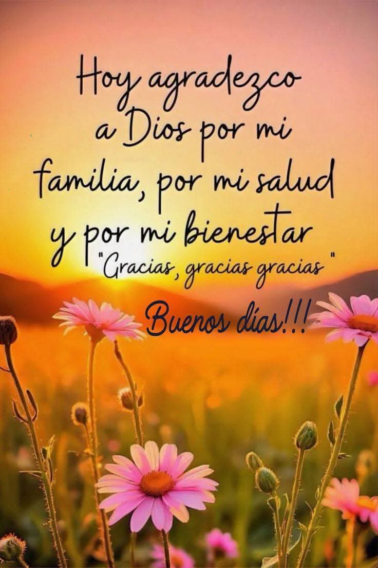Buenos días!!! Hoy agradezco a Dios por mi familia, por mi salud y por mi  bienestar, gracias, gracias. Feliz miércoles amig@s de  X.🙏❤️💖✨🙋\u200d♀️🤗🌷🍀🌞🌻☺️😊, image size:736x1104