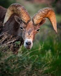 Rodney Griffin tweet media