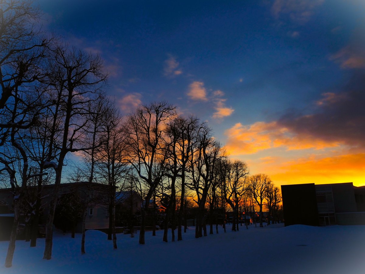 《はだか樹に新緑つく日想いつつ病院前で眺む夕景》

夕景＝「せっけい」(*^_^*)
冬至より15分日没が延びたけど、まだ日暮れがあっという間に訪れるね。
今週末からの三連休は悪天候予報。なかなか思い通りにいかないものです。

皆様、今日は良い一日をね～(^^♪

#短歌　#夕景　#夕焼け空